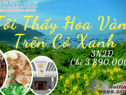 Tour Phú Yên - Tôi Thấy Hoa Vàng Trên Cỏ Xanh