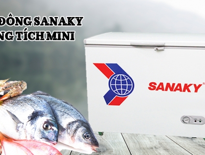 Tủ đông SANAKY 250 lít trữ sữa VH2599HY2