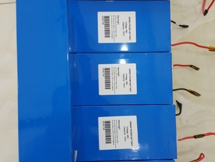 Pin Xe Đạp Điện & Xe Điện Lithium 48V 15Ah