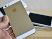 iPhone 5s Gold 16gb giá 8t3, Bh 3 tháng, đầy đủ phụ kiện.