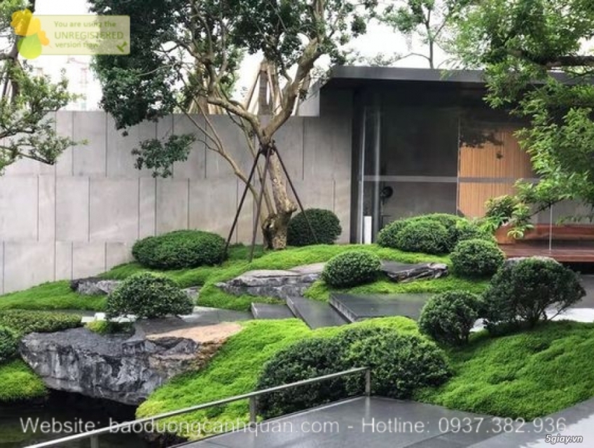 Thiết kế thi công sân vườn hiện đại ở HCM, BRVT, Đồng Nai