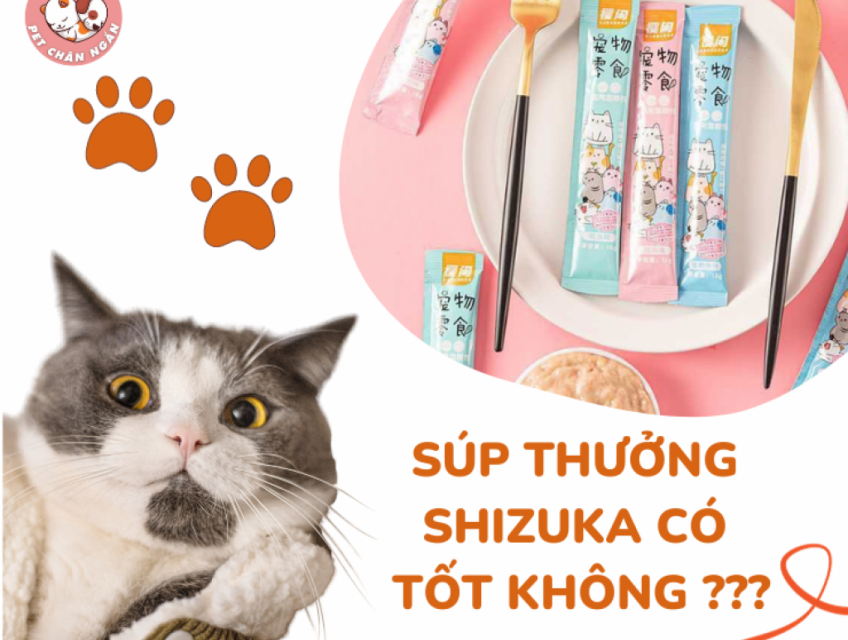 Súp thưởng shizuka có tốt không ?