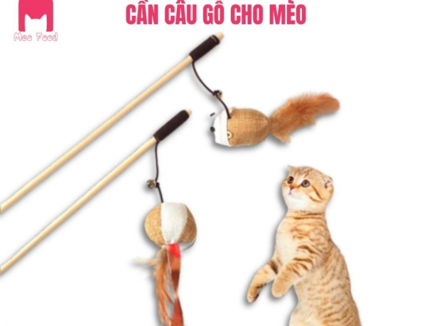 CẦN CÂU CÁN GỖ CHO MÈO