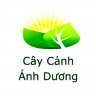 Caycanhanhduong