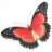 redbutterfly2907