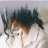 anhhung_245