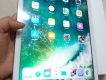 Bán iPad Wifi Cellular 128GB  Gold