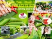 Nem chua Thanh Hóa Lovefood - Loại Đặc Biệt