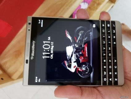 Blackberry Pasport