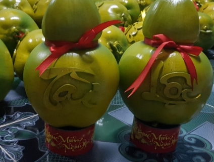 CUNG CẤP DỪA TẠO HÌNH TÀI LỘC 2019