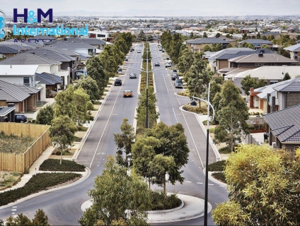 Cuộc sống tại Melbourne có những gì?