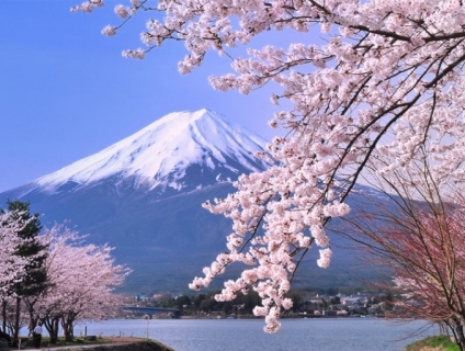 Du lịch Nhật Bản mùa hoa anh đào 6N5Đ