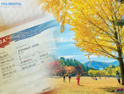 Quy trình xin visa Hàn Quốc chi tiết và đầy đủ NHẤT