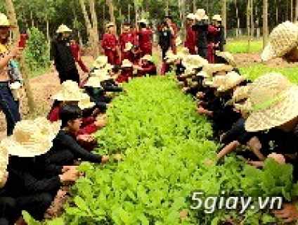 Hành trình trải nghiệm kết hợp giáo dục kỹ năng sống