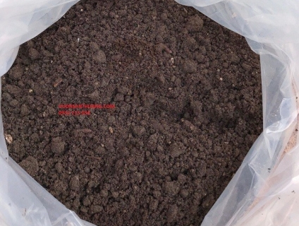 đất thịt ủ trùn tự nhiên tại vườn 10dm3