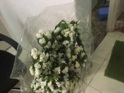 Bán hoa tươi Đà Lạt nhà trồng giá rẻ