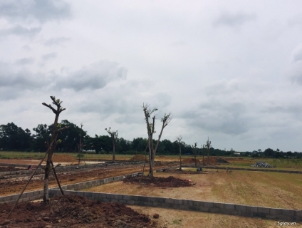 Cần Bán Đất Biệt Thự 500m2 giá 2.25ty Hồ Tràm Xuyên Mộc Vũng Tàu