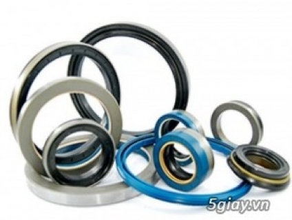 GIOĂNG CAO SU PS-T125SB2 DÙNG CHO XYLANH THỦY LỰC T-SB-2FA125BB400 ABD