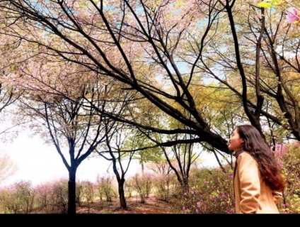 Chuyển nhượng tour du lịch Hàn 4N4D 4 người