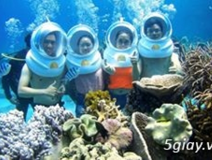 Tour 3 Đảo ghép đoàn trọn  gói  450k