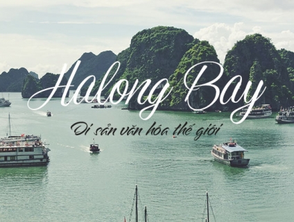 Tour Du Lịch Hạ Long 1 Ngày giá rẻ