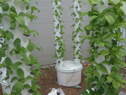 Trụ trồng rau thủy canh combo 1 trụ đôi 66 rọ