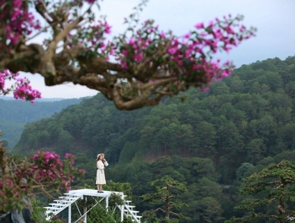 Tour Nha Trang – Đà Lạt 4N4Đ Tết Âm Lịch 2021