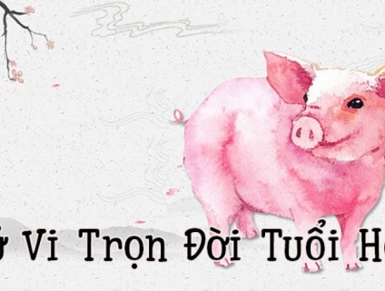 Tử Vi tuổi Ất Hợi 1995 - Quá Vãng Chi Trư (Lợn hay đi)