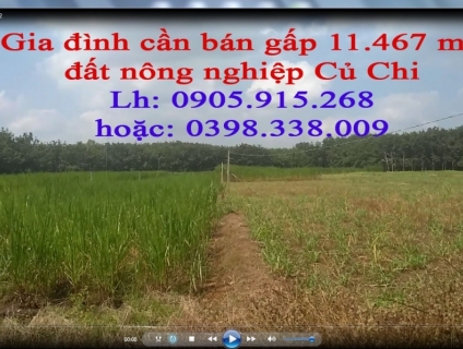 Nhà cần tiền cho con bán hai miếng đất lớn tại Củ Chi và Bình Thuận
