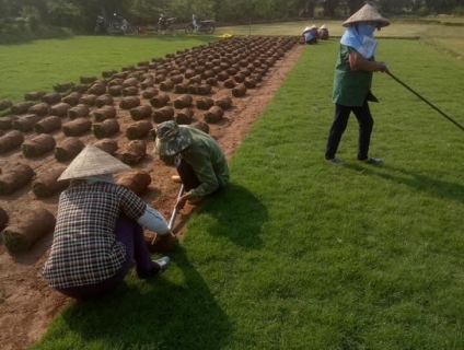 TRANG TRÍ SÂN VƯỜN, THI CÔNG DỰ ÁN