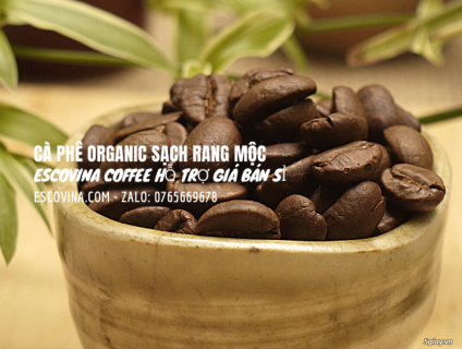 Cà phê nguyên chất giá sỉ, được hỗ trợ giá ổn định 12 tháng không đổi