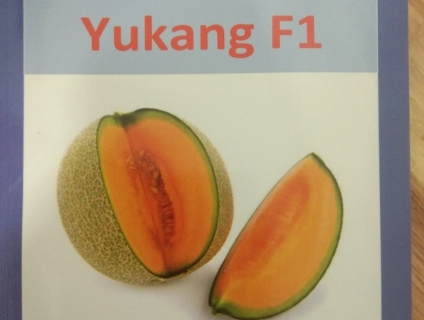 Cung cấp hạt giống YuKang