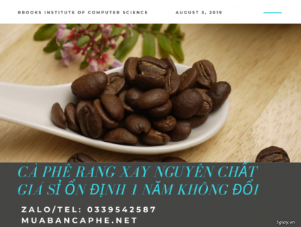 Cà phê rang xay nguyên chất 100% chế biến ướt cao cấp tại thị trường,