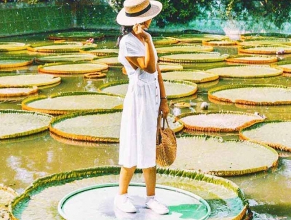 TOUR DU LỊCH ĐỒNG THÁP 1 NGÀY - CHÙA LÁ SEN - KDL XẺO QUÝT