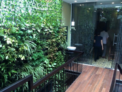 Thi công tiểu cảnh đứng ứng dụng trong không gian sống