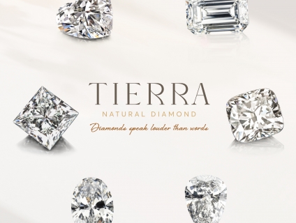 Bảng giá kim cương tại Tierra Diamond - Khẳng định giá cả luôn đi cùng