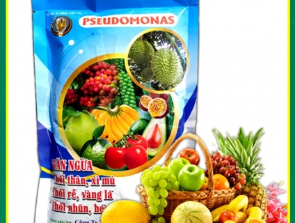 CHẾ PHẨM SINH HỌC TKS -  PSEUDOMONAS : GÓI 500GR