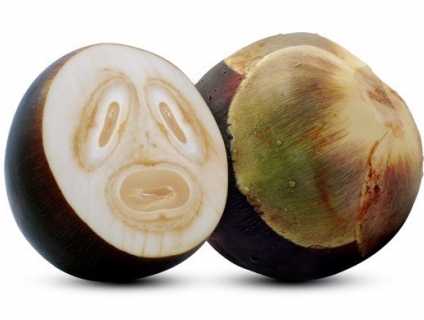 mua hạt thốt nốt tươi chất lượng ở đâu?