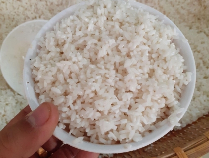 bánh chưng chubodoi 2022