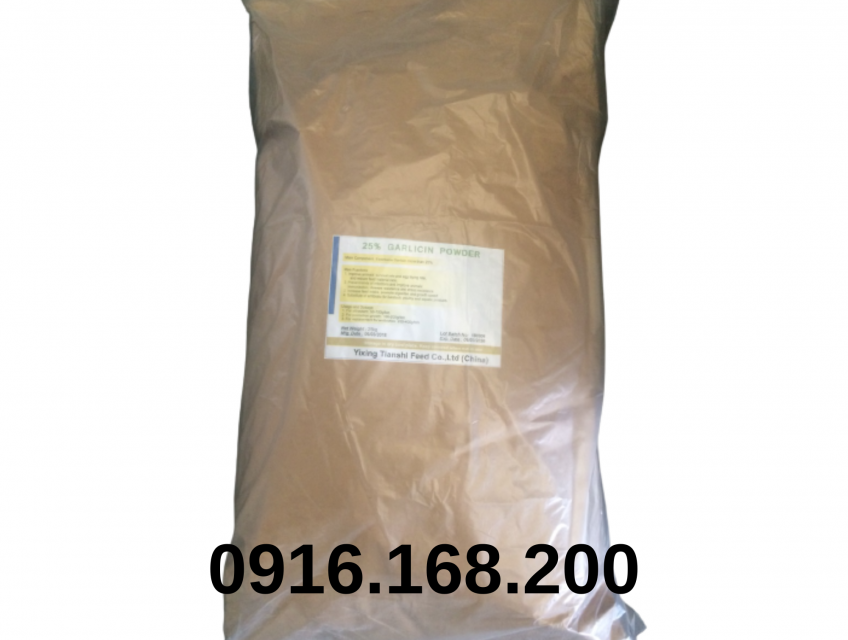 BỘT TỎI BỘT TỎI NGUYÊN LIỆU