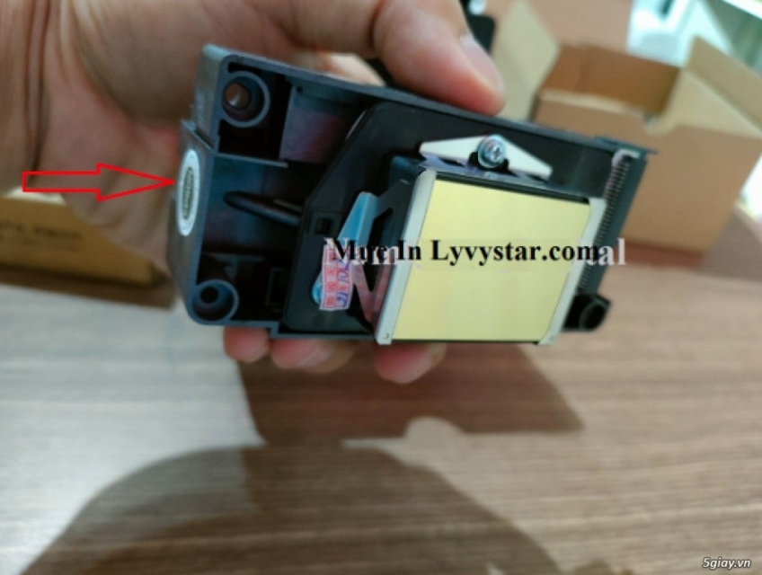 Đầu phun Epson DX5 giá rẻ