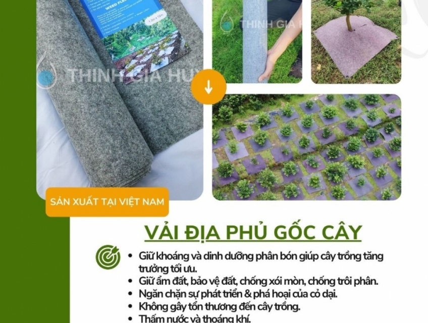 TẤM BẠT PHỦ CỎ KỸ THUẬT
