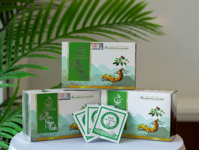 Trà túi lọc Sâm ngọc linh