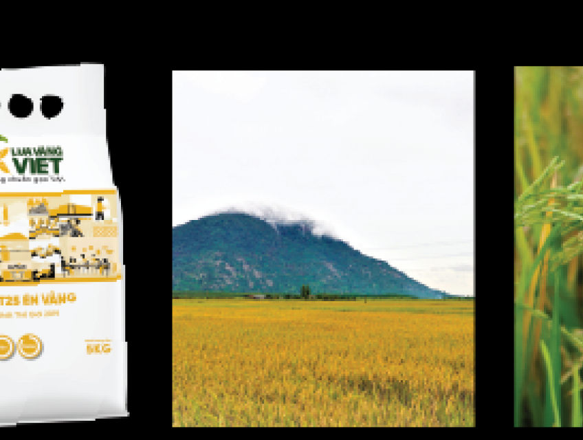 Gạo Ngon Thượng Hạng ST25 Én Vàng