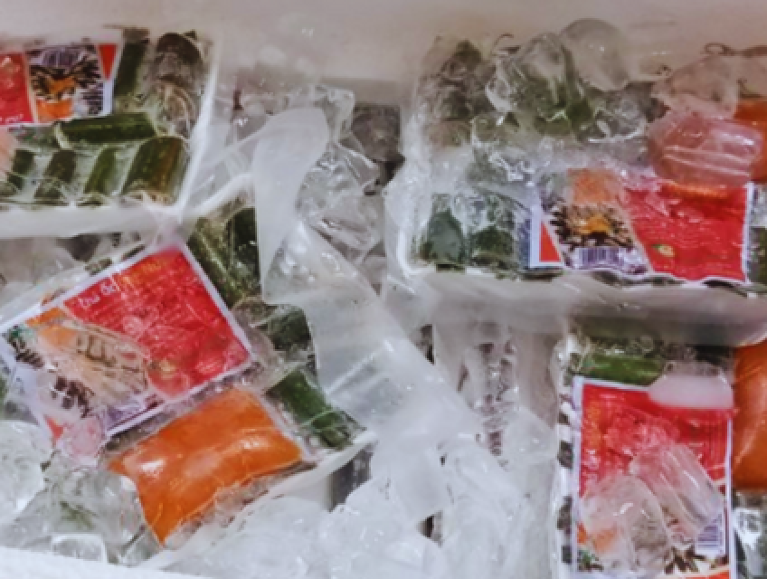 Đại lý cung cấp thực phẩm đông lạnh giá sỉ 2023
