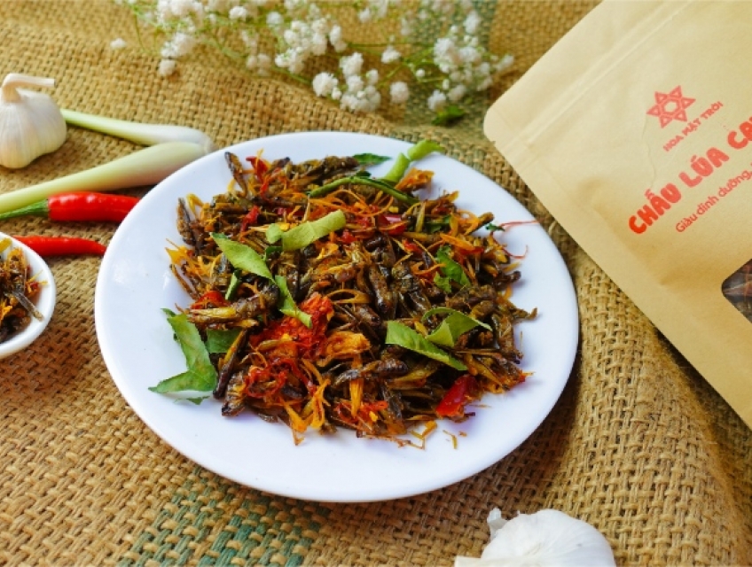 Săn sale bùng nổ cùng Hoa Mặt Trời Farm