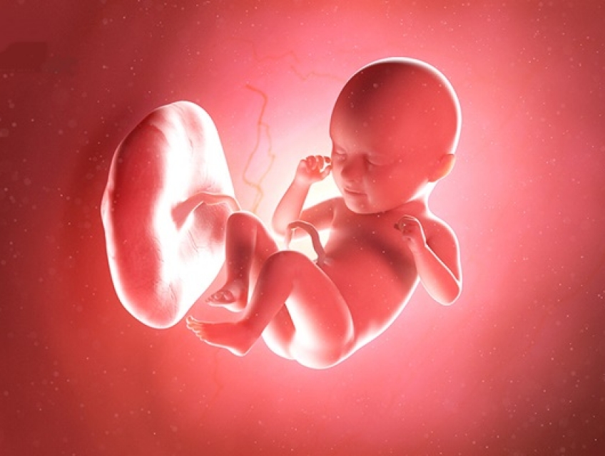 Mách Bạn Địa Chỉ Phòng Khám Phá Thai Uy Tín Ở Hà Tĩnh