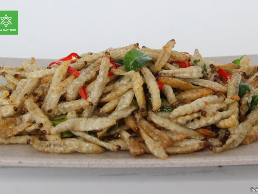 SÂU TRE TÂY BẮC MÓN ĂN LẠ LÙNG