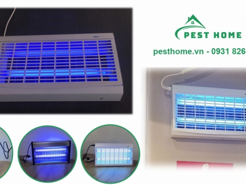 Đèn bắt muỗi điểm sáng cho bạn thắng đối thủ trong nội thất