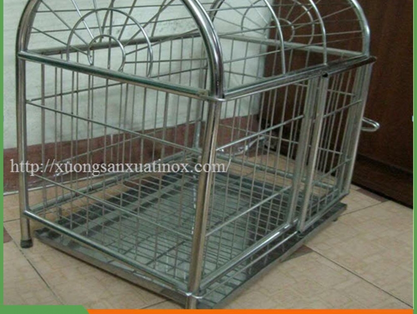 Lồng chim chuồng chó inox